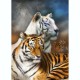 CAROL CAVALARIS COLLECTION Tiger Spirit